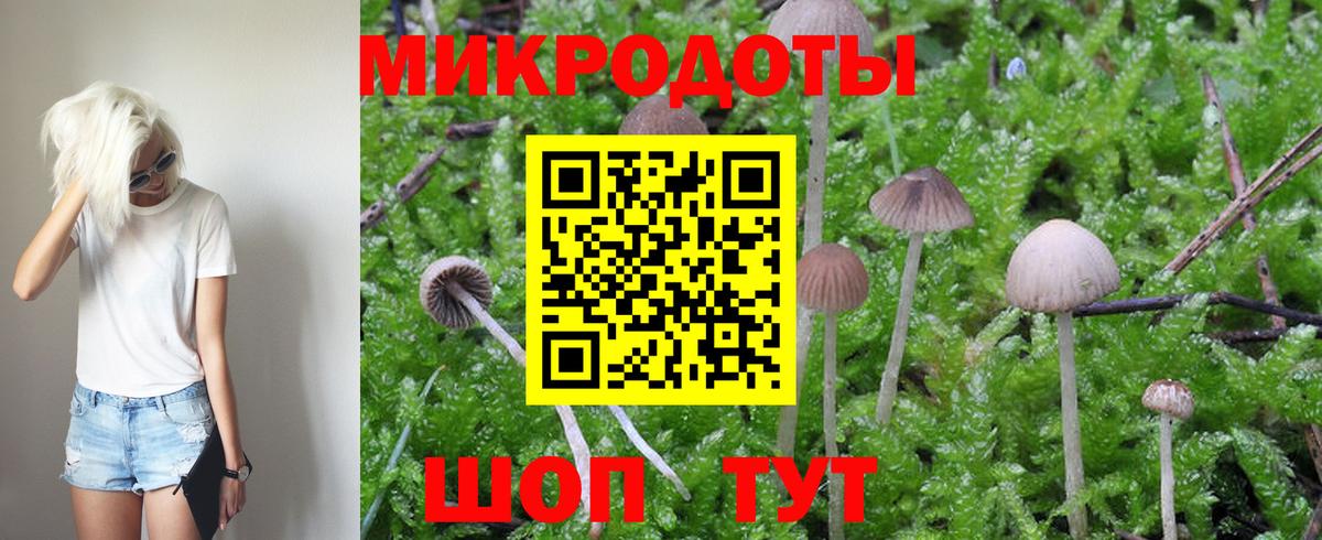Псилоцибиновые грибы GOLDEN TEACHER Нерюнгри